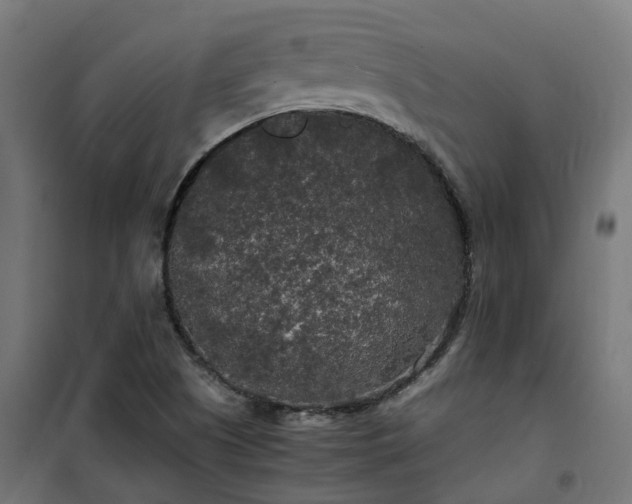 X0000100491505200806201641