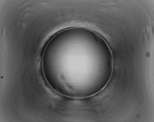 X0000100491507200806201641