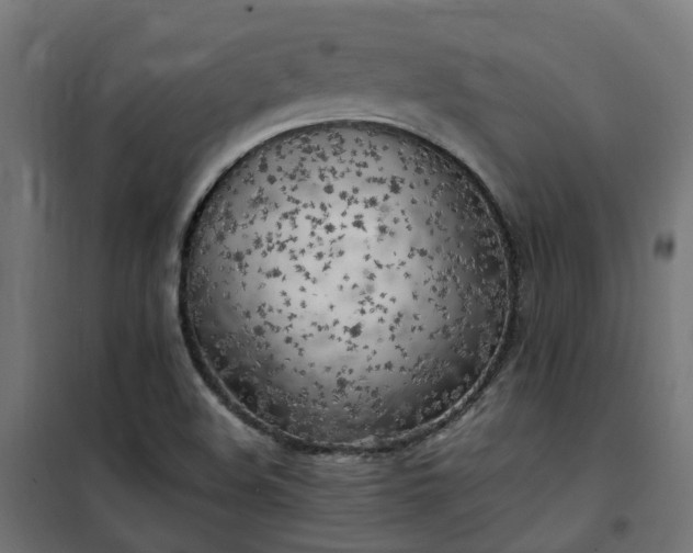 X0000100491508200806201641