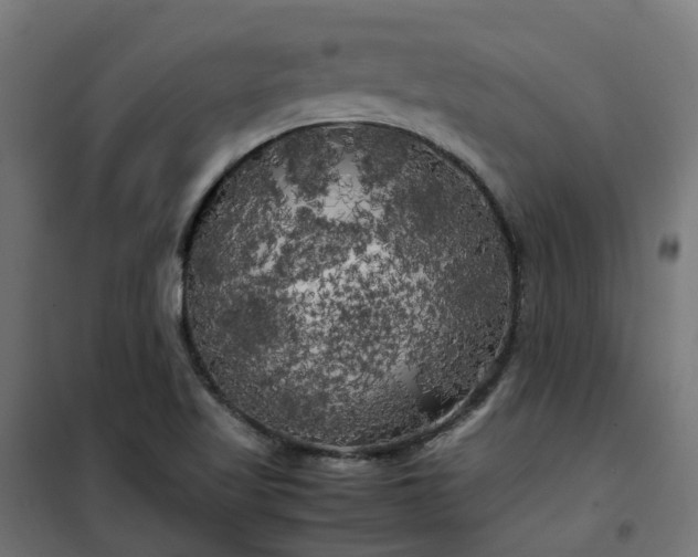 X0000100491509200806201641