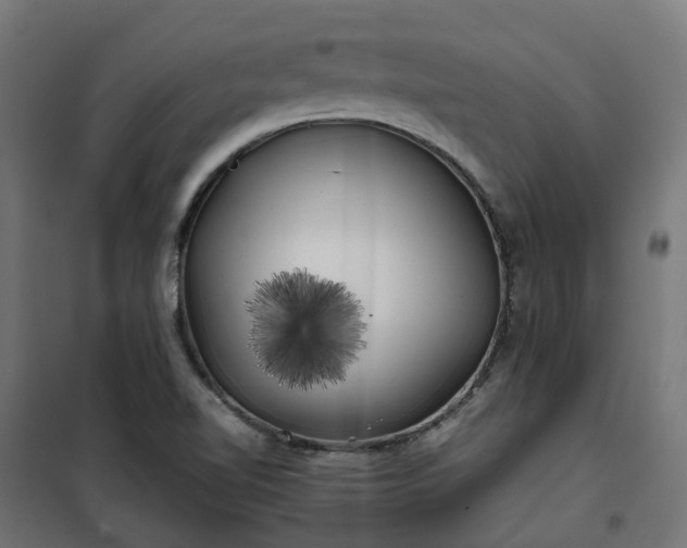 X0000100491510200806201641