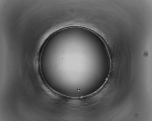X0000100491511200806201641