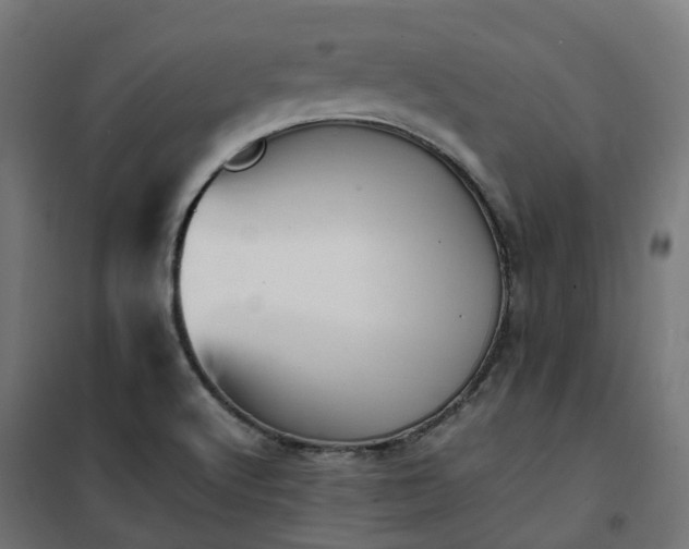 X0000100491512200806201641