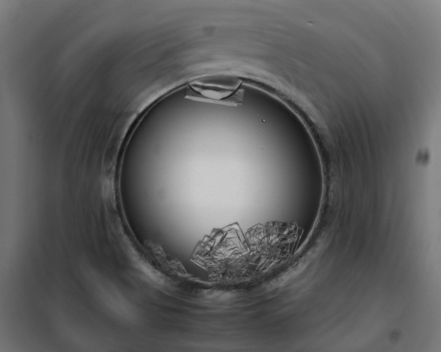 X0000100491513200806201641