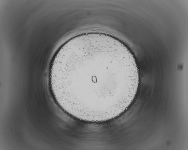 X0000100491514200806201641