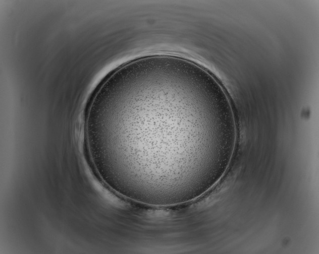 X0000100491515200806201641