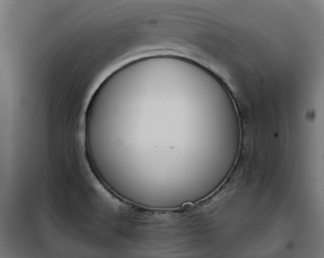 X0000100491516200806201641