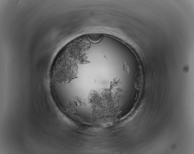 X0000100491517200806201641