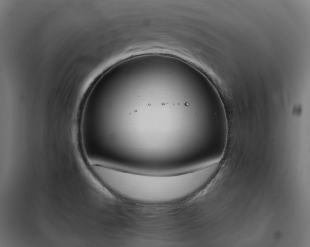 X0000100491518200806201641
