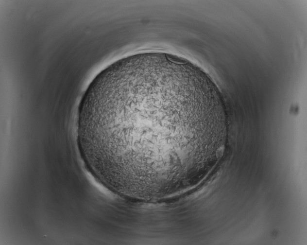 X0000100491519200806201641