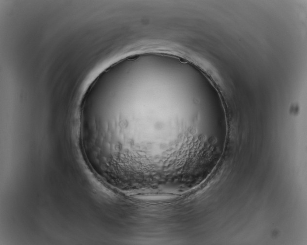 X0000100491520200806201641