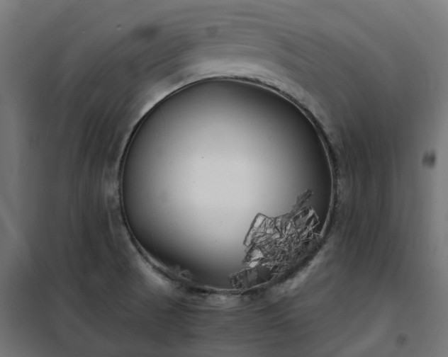 X0000100491521200806201641