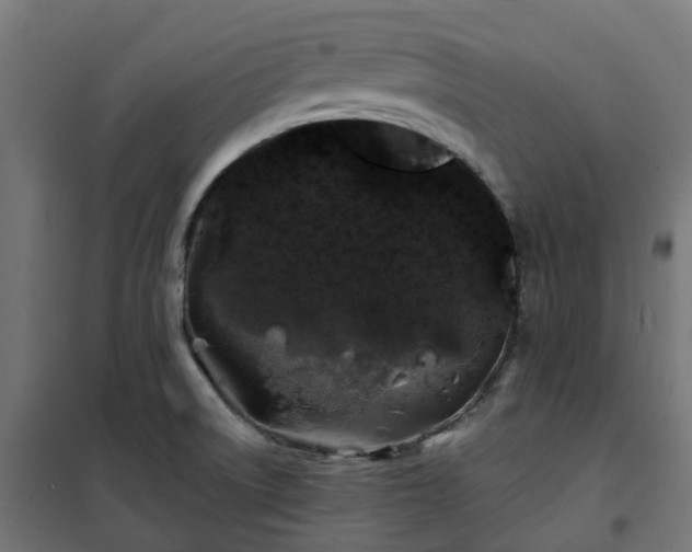 X0000100491522200806201641