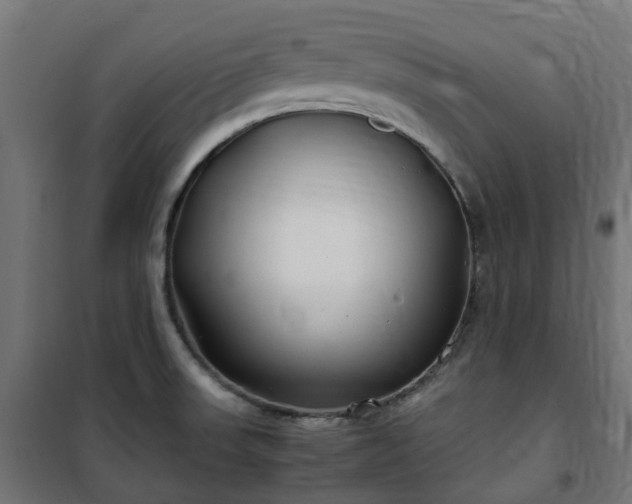 X0000100491523200806201641