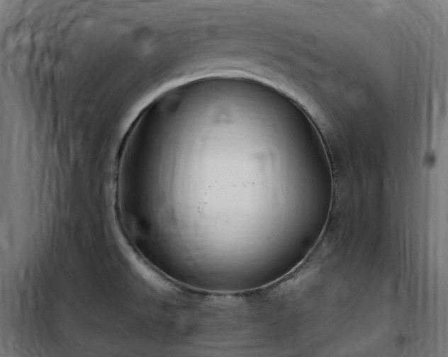X0000100491526200806201641