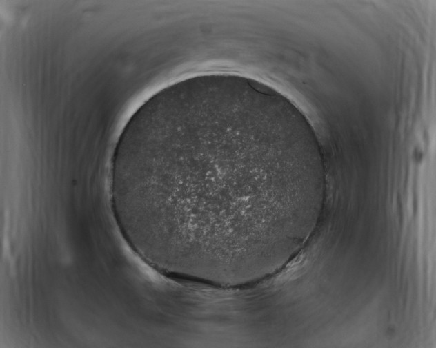X0000100491527200806201641