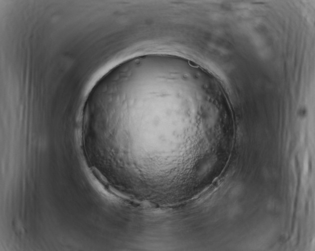 X0000100491528200806201641