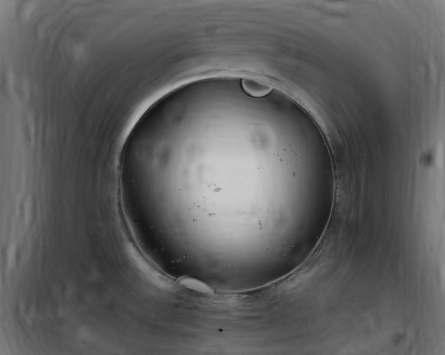 X0000100491532200806201641