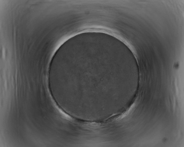 X0000100491533200806201641