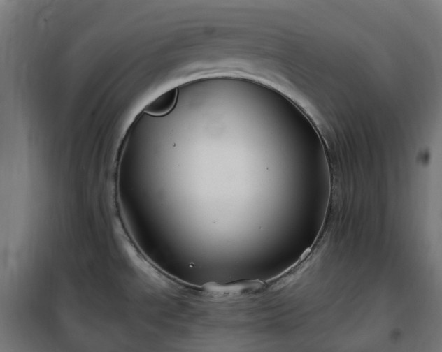 X0000100491534200806201641