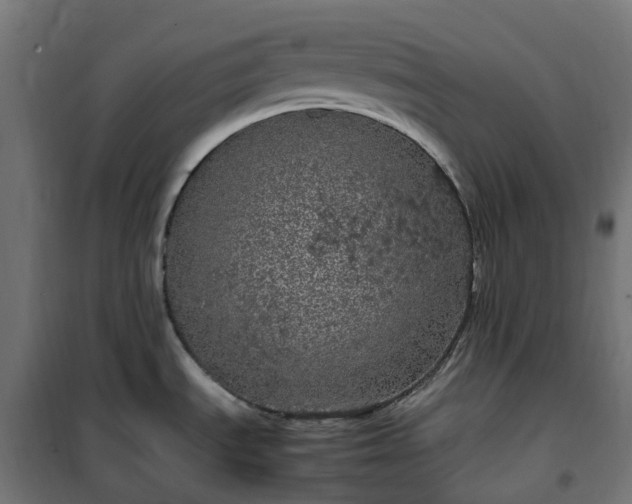 X0000100491535200806201641
