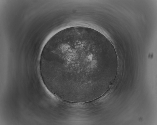 X0000100491536200806201641