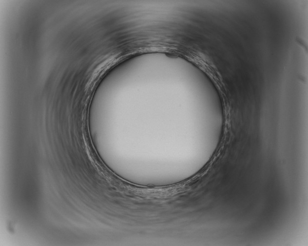 X0000100490001200806271247