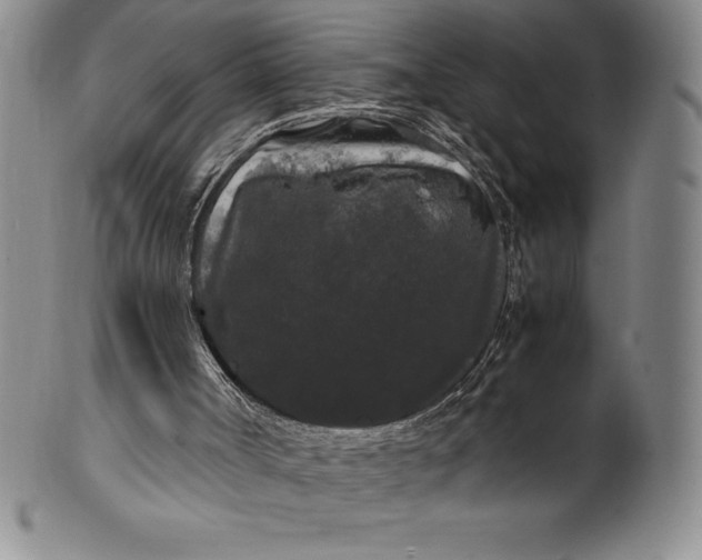 X0000100490002200806271247