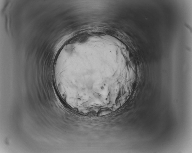 X0000100490003200806271247