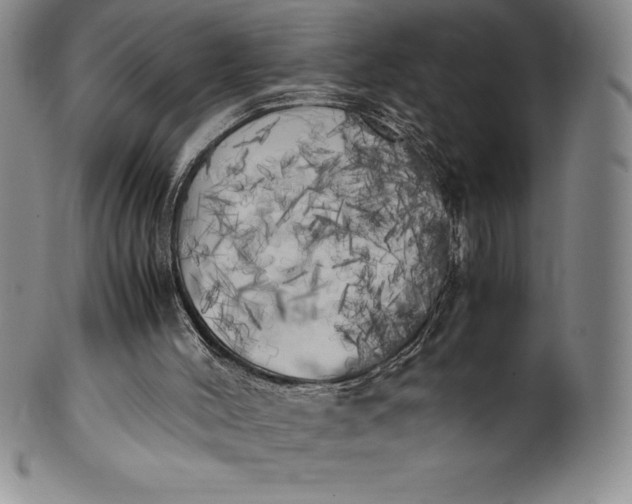 X0000100490004200806271247