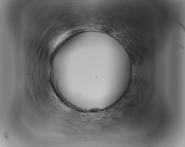 X0000100490005200806271247