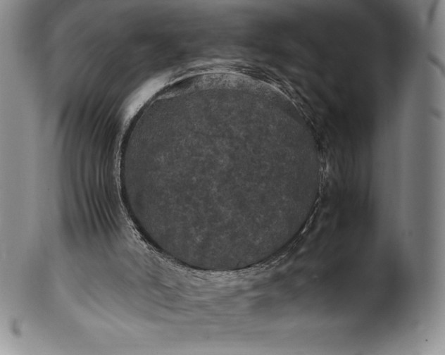 X0000100490006200806271247