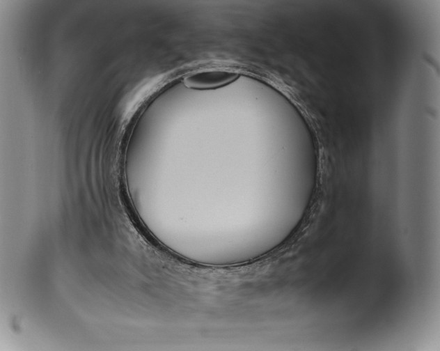 X0000100490007200806271247