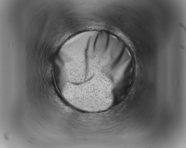 X0000100490009200806271247