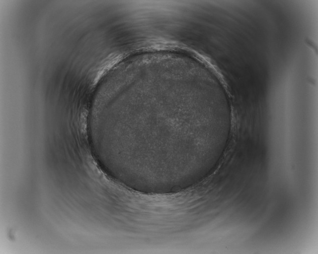 X0000100490010200806271247