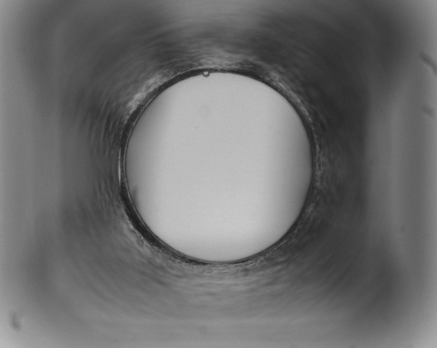 X0000100490011200806271247