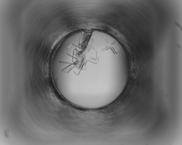 X0000100490012200806271247