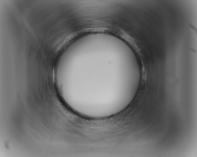 X0000100490013200806271247