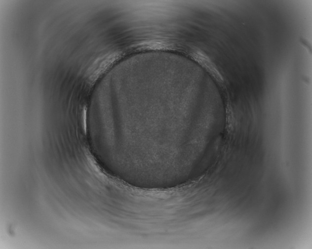 X0000100490014200806271247