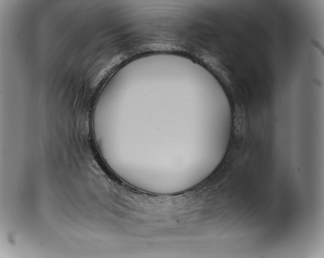 X0000100490015200806271247