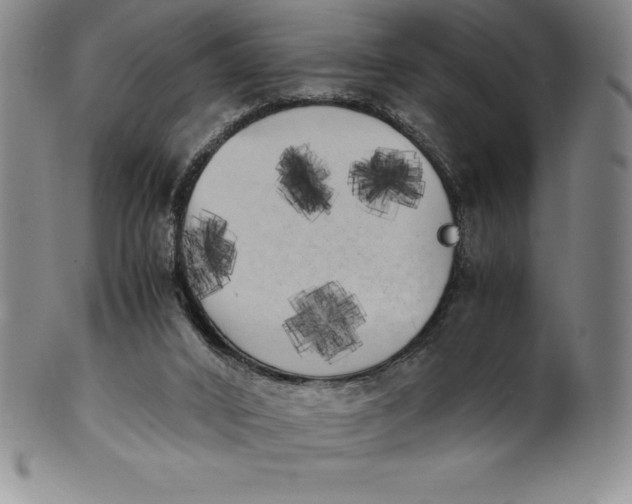 X0000100490016200806271247