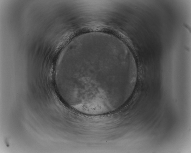 X0000100490018200806271247