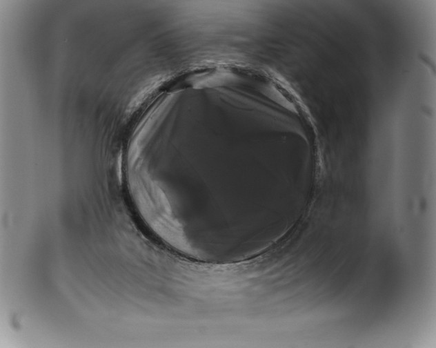 X0000100490019200806271247