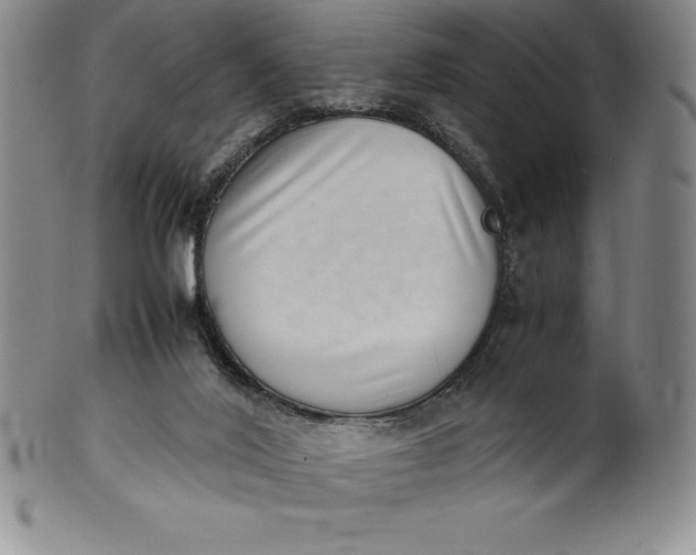 X0000100490020200806271247