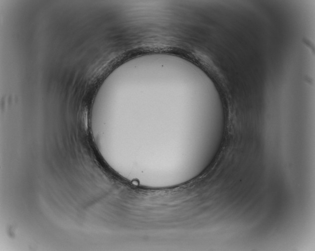 X0000100490021200806271247