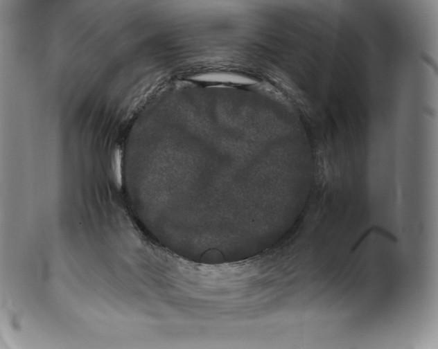 X0000100490022200806271247