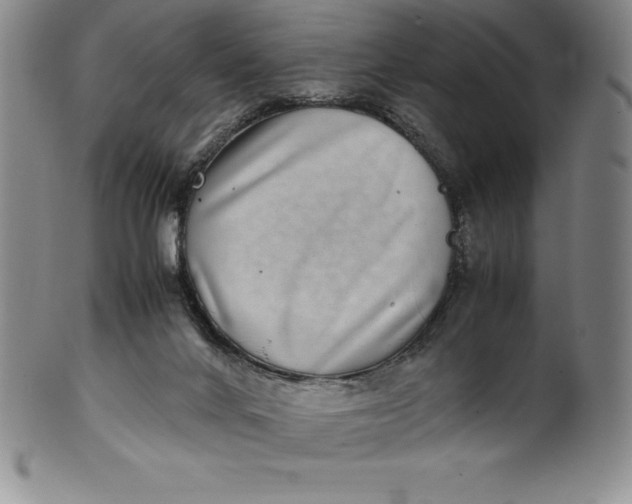 X0000100490024200806271247