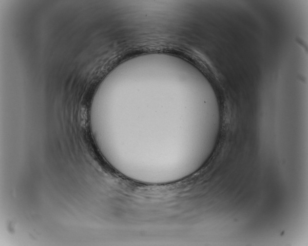 X0000100490025200806271247