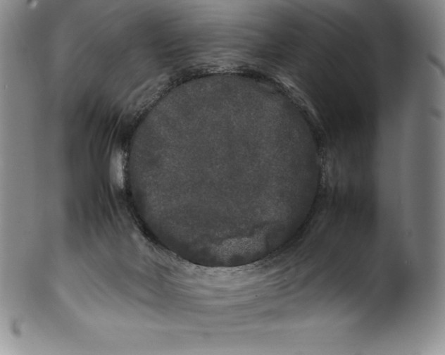 X0000100490026200806271247