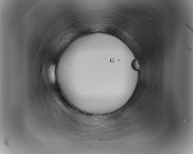 X0000100490028200806271247